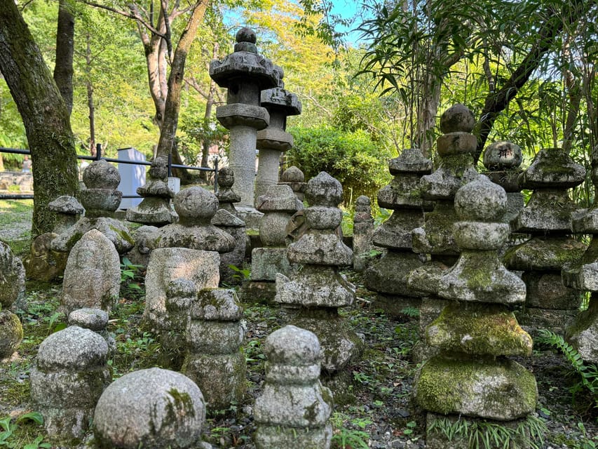 Kyoto: Guided Tour in UNESCO Site, Kiyomizu-dera - 90 Min. - Viewpoints that make the visit worthwhile