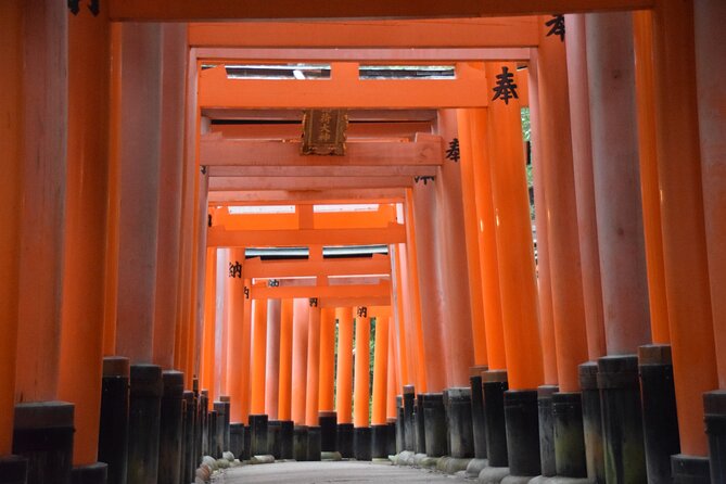 Kyoto Guided Walking Tour Highlight of Kiyomizu & Fushimi Inari - Fushimi Inari and the torii gate paths