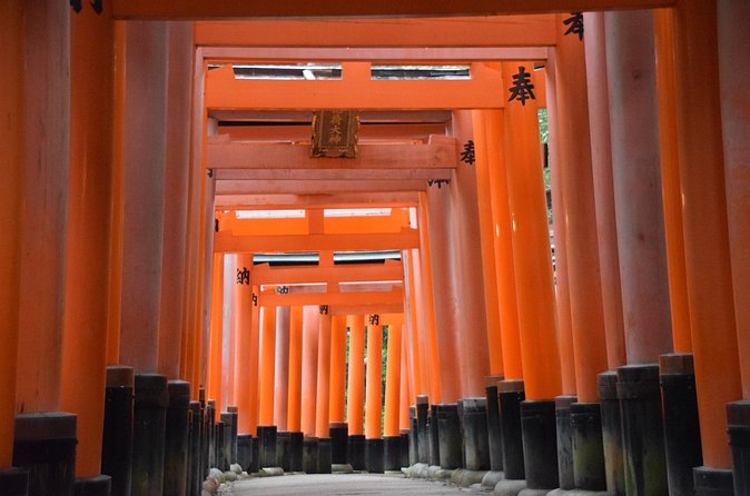 Kyoto Guided Walking Tour Highlight of Kiyomizu & Fushimi Inari - A guide-led walk with room for questions