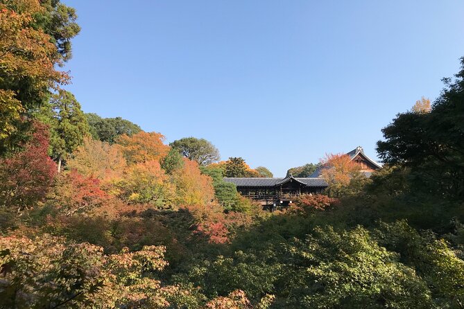 Kyoto Guided Walking Tour: Secret Zen Garden and Fushimi Inari - Komyo-in Temple and the secret Zen garden