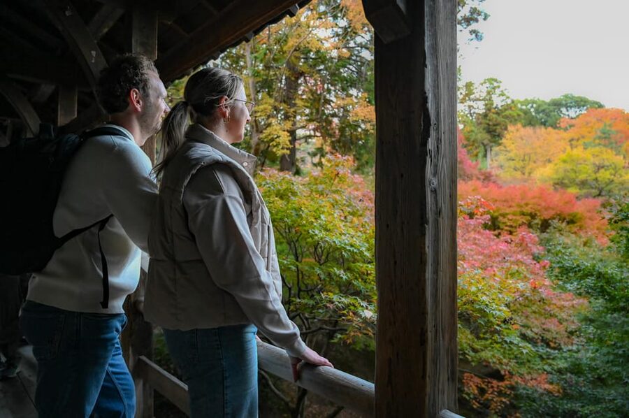 Kyoto: Half-day Guided Bike Tour with Fushimi Inari - Key points at a glance