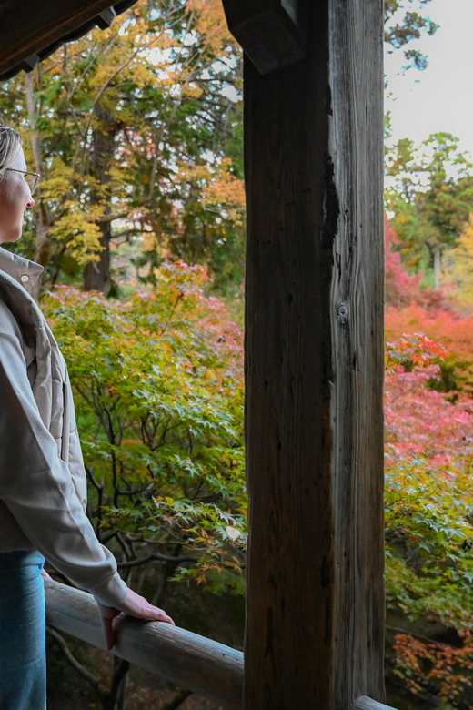 Kyoto: Half-day Guided Bike Tour with Fushimi Inari - Gion by backstreet instead of main street