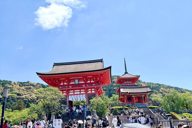 Kyoto Half Day Highlights Tour - How strenuous is the walk?