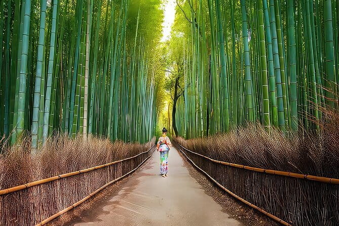 Kyoto Heritage Run - Venture through historical Kyoto landmarks - Heian Shrine and its huge torii gate