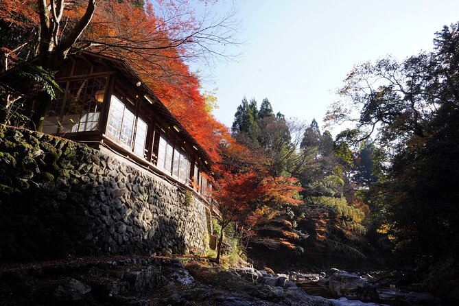 Kyoto Hidden Riverside Zen Mediation and Uji Matcha Experience - How much value does the $105 price offer?