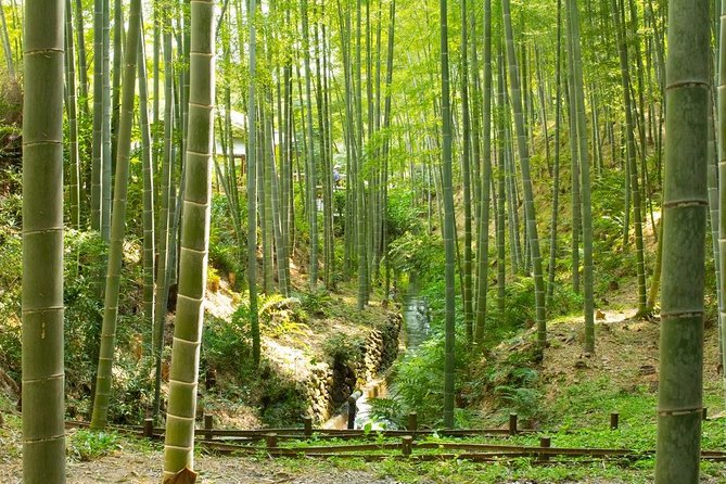 Kyoto Highlights: Arashiyama & Fushimi Inari by Private Car - Okochi Sanso adds tea and a quieter garden