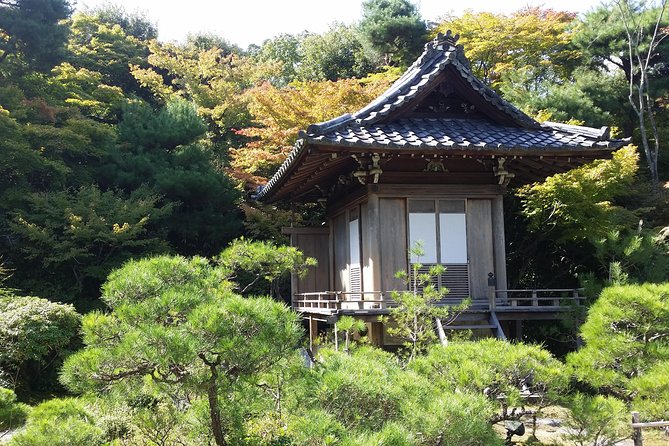 Kyoto Highlights: Arashiyama & Fushimi Inari by Private Car - Fushimi Inari turns a shrine visit into a walk