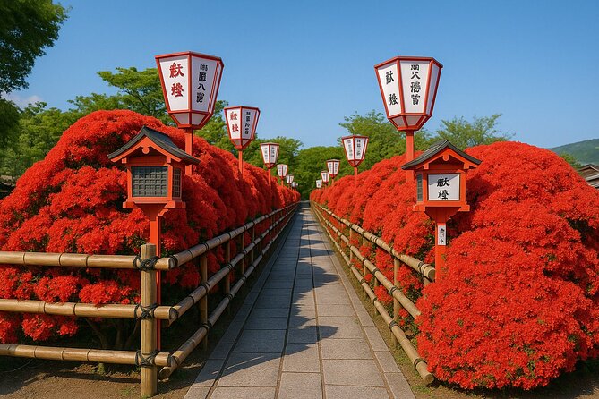 Kyoto Highlights Eastern Western Northern and Southern Routes - Key points at a glance