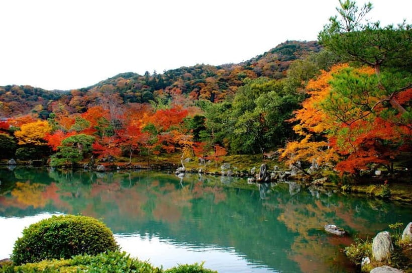 Kyoto: Highlights Guided Walking Tour - How much walking and how fast is the pace?