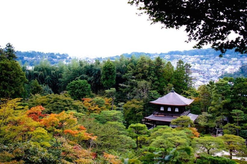 Kyoto: Highlights Guided Walking Tour - Why this Kyoto walk works well in a short visit