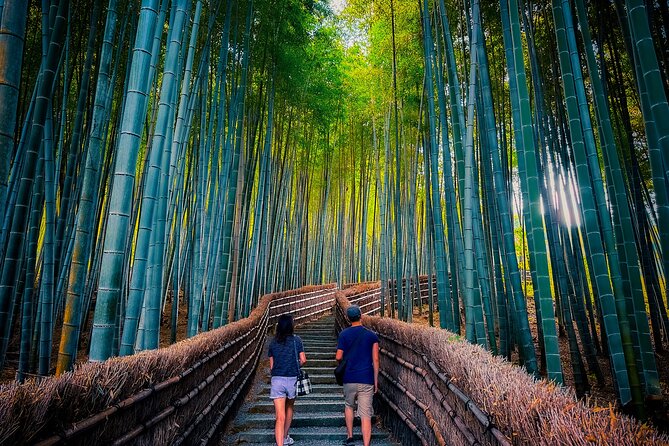 Kyoto Highlights & Hidden Gems in Nature (Private Van Eng-Guide) - Why the private van changes your Kyoto day