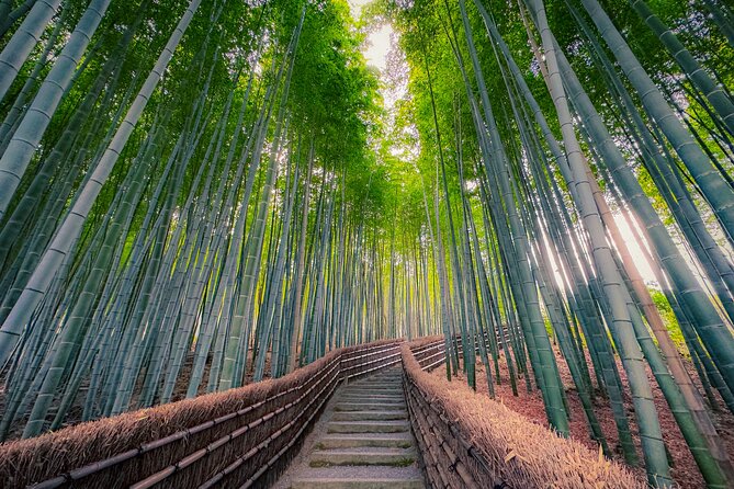 Kyoto Highlights & Hidden Gems in Nature (Private Van Eng-Guide) - Taking the Arashiyama-Takao Parkway north