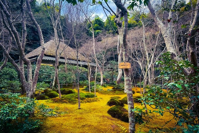 Kyoto Highlights & Hidden Gems in Nature (Private Van Eng-Guide) - A drive through Kyoto’s geisha district
