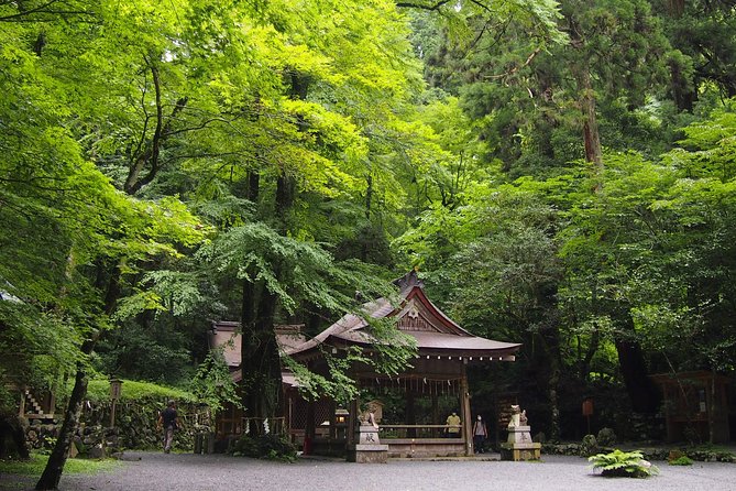 Kyoto Hiking Tour: The Nature and Legends of Kurama and Kibune - Why this mountain day feels different from central Kyoto