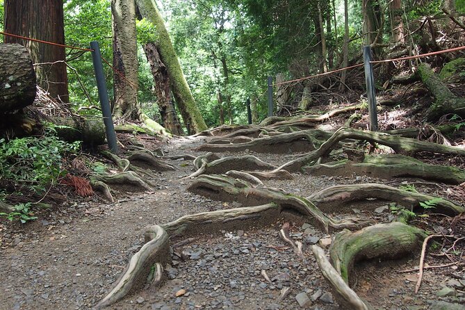 Kyoto Hiking Tour: The Nature and Legends of Kurama and Kibune - What the walking is really like
