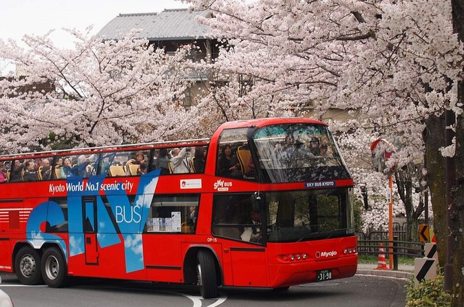 Kyoto Hop-On, Hop-Off Sightseeing Bus Tour - Sanjusangendo and the Kyoto National Museum