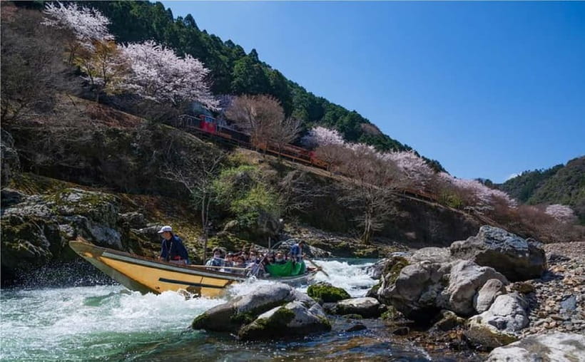 Kyoto Hozugawa River Boat Sagano Romantic Train Tour - Who will enjoy this Kyoto outing?