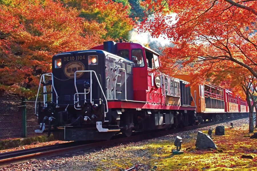 Kyoto Hozugawa River Boat Sagano Romantic Train Tour - The 25-minute Sagano Romantic Train