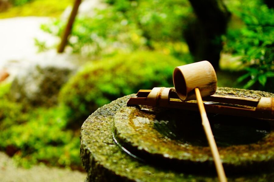 Kyoto: Immersive Arashiyama & Fushimi Inari by Private Car - Who will get the most from this Kyoto day?