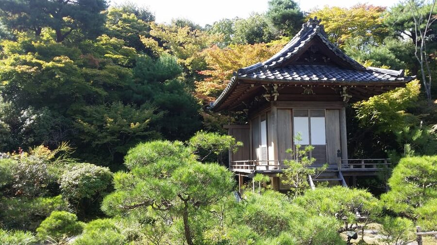 Kyoto: Immersive Arashiyama & Fushimi Inari by Private Car - River views, lunch, and time to choose your own stop