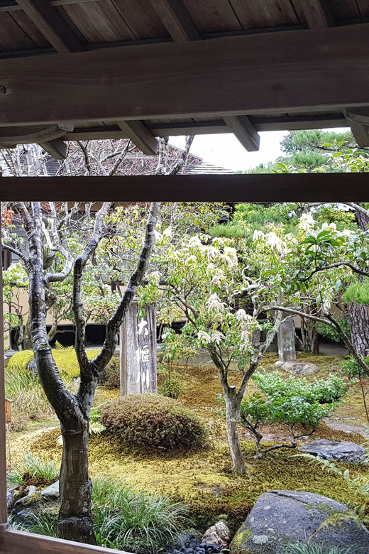 Kyoto: Immersive Arashiyama & Fushimi Inari by Private Car - Fushimi Inari and the final walk beneath the torii