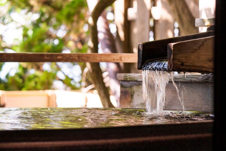 Kyoto: Immersive Arashiyama & Fushimi Inari by Private Car - Is $236 per person a fair price?