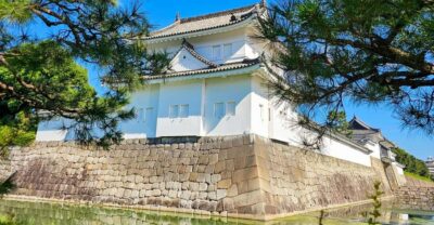 Imperial Palace & Nijo Castle Guided Walking Tour
