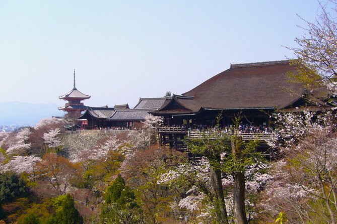 Kyoto in a Day by eBike: The Best Bits Tour (East Course) - Key points to know before you book