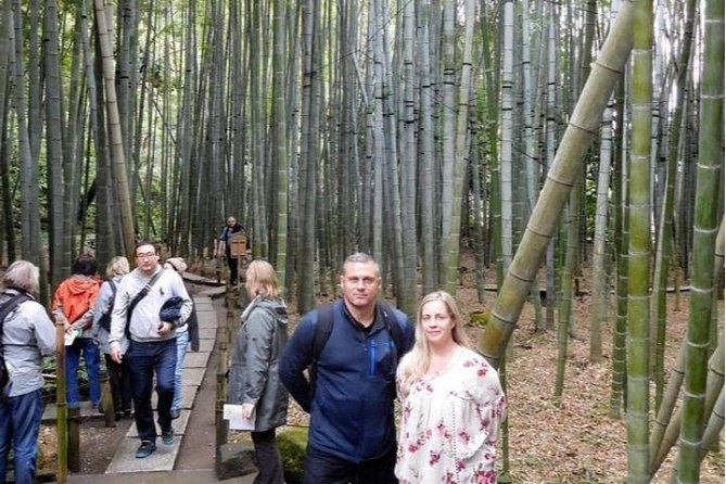 Kyoto Japanese Garden Lover's Private Tour with Government-Licensed Guide - Your six hours and the real cost