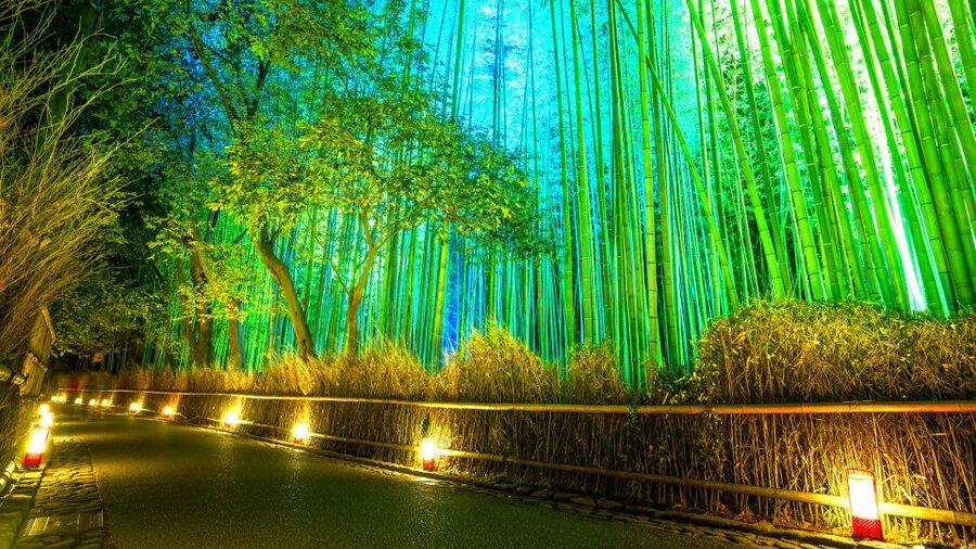 Kyoto: Japanese Gardens Private Customizable Tour - Key points to know before booking