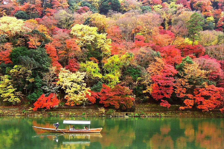 Kyoto: Japanese Gardens Private Customizable Tour - What the $151 price really covers