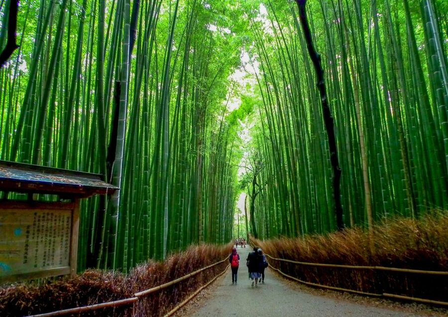 Kyoto: Japanese Gardens Private Customizable Tour - Kinkakuji and Ginkakuji: famous temples with different moods