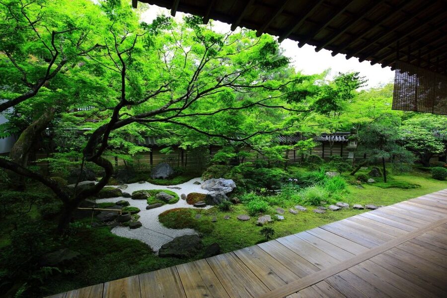 Kyoto: Japanese Gardens Private Customizable Tour - Ryoanji and the meaning of a dry Zen garden