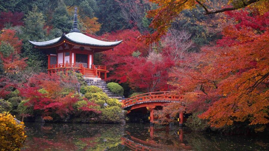 Kyoto: Japanese Gardens Private Customizable Tour - Honen-in, Nanzenji, and Tofukuji for a broader garden day