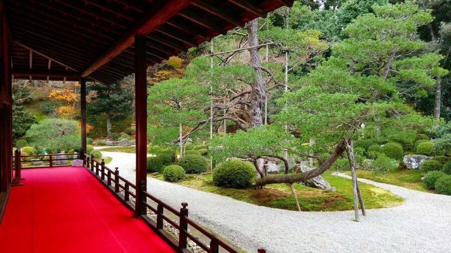 Kyoto: Japanese Gardens Private Customizable Tour - Arashiyama Bamboo Forest and the western side of Kyoto