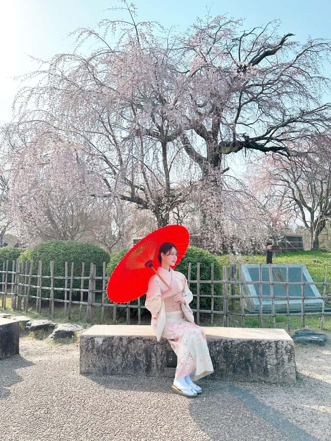 Kyoto: Kimono Rental Traditional Experience at Wargo in Gion - Who should book this Kyoto experience?