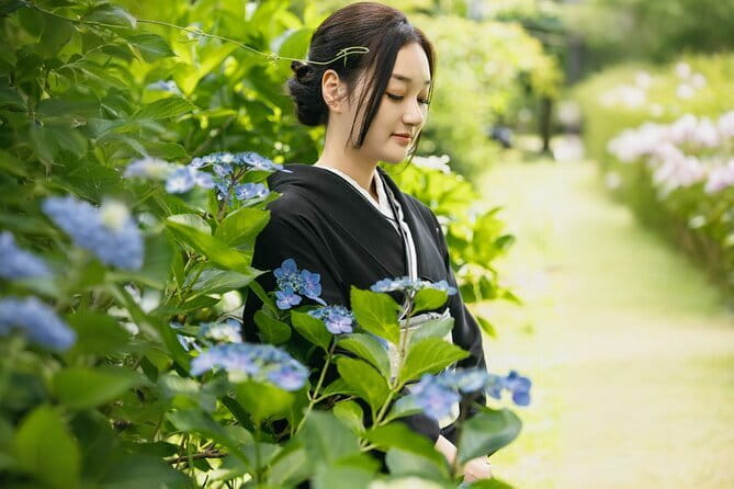 Kyoto Kiyomizudera Kimono Dressing with Hairstyle | Photoshoot - Choosing from 700 Kyoto kimono styles