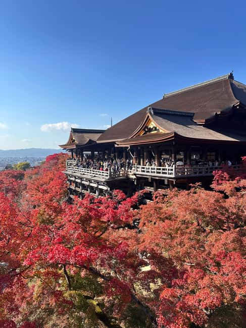 Kyoto: Kiyomizudera, Sanjusangendo, Kodaiji, and Gion. - Why this route captures old Kyoto well