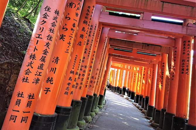 Kyoto Late Bird Walking Tour - Fushimi Inari and the first hour under the torii