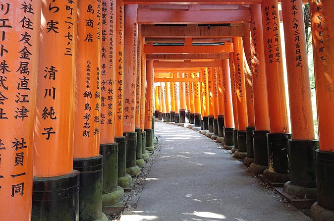 Kyoto Lazy Bird Walking Tour - Walking demands and accessibility