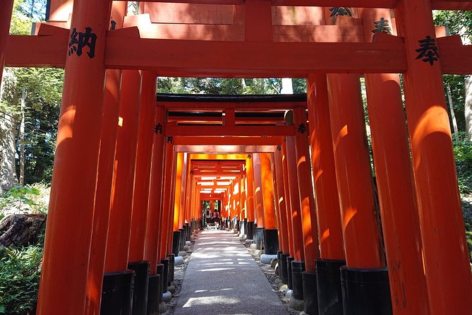 Kyoto Lazy Bird Walking Tour - Kinkaku-ji: Kyoto’s golden postcard