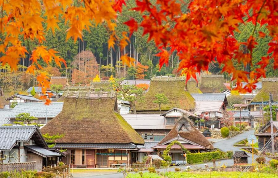 Kyoto: Miyama Village, Amanohashidate & Ine Bay Day Trip - Key things to know before you book