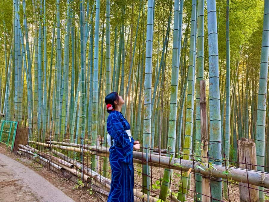 Kyoto Morning Highlights Tour: Fushimi, Kiyomizu-dera & Gion - Is $81 a fair price?