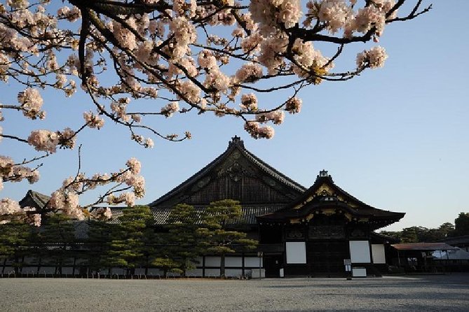 Kyoto Morning Tour from Kyoto or Osaka - Why this half-day Kyoto tour works