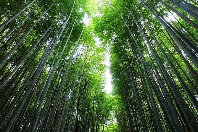 Kyoto Morning Tour with English Speaking Guide - Why this morning route works for first-time Kyoto visitors