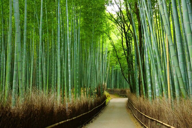 Kyoto Morning Tour with English Speaking Guide - Rail transfers and the physical effort