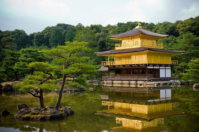 Kyoto & Nara Day Tour: Golden Pavilion, Fushimi Inari & Deer Park - A very full day across Kyoto and Nara
