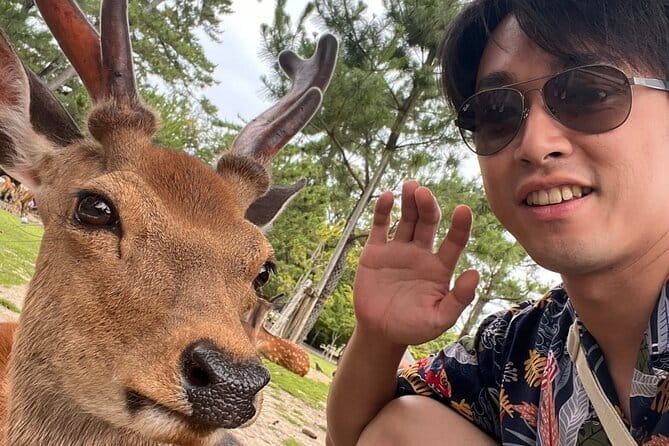 Kyoto & Nara Day Tour: Golden Pavilion, Fushimi Inari & Deer Park - How the timing affects your day