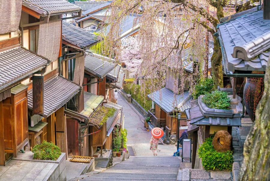 Kyoto & Nara Private Customized, Guided Tour - Key points to know before you book