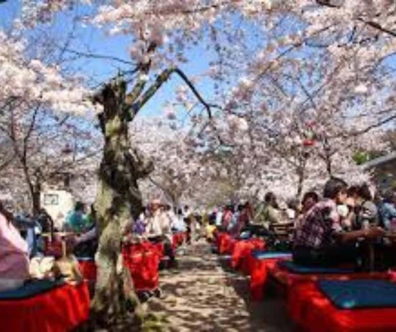 Kyoto & Nara Private Customized, Guided Tour - Fushimi Inari Taisha: choose your walking distance